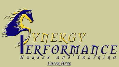 Logo-synergyperformancehorses-com.jpg