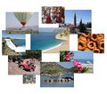 Thumbnail for version as of 09:05, 19 June 2006