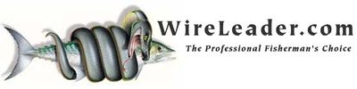 Logo-wireleader-com.jpg