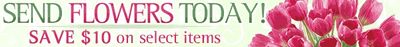 Logo-flowersinphiladelphia-com.jpg