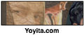 Thumbnail for version as of 00:35, 19 October 2007