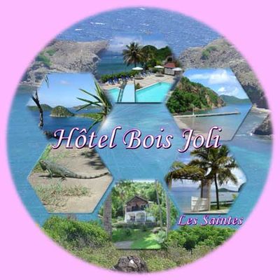 Logo-hotelboisjoli-fr.jpg