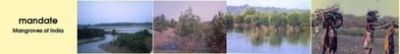 Logo-mangroveindia-org.jpg
