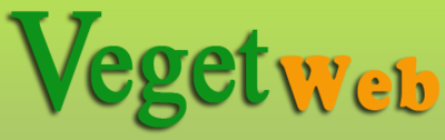 Logo-vegetweb-com.png