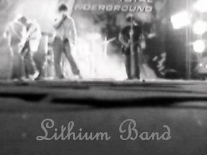 Lithium2tugbandprofiles.jpg