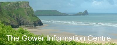 Logo-swansea-gower-co-uk.jpg