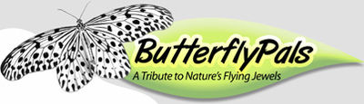 Logo-butterflypals-com.gif