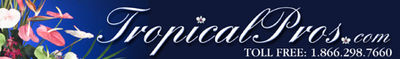 Logo-tropicalpros-com.jpg