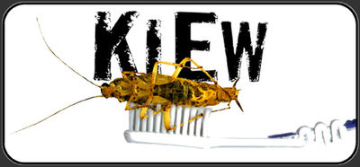 Logo-kiew-org.jpg